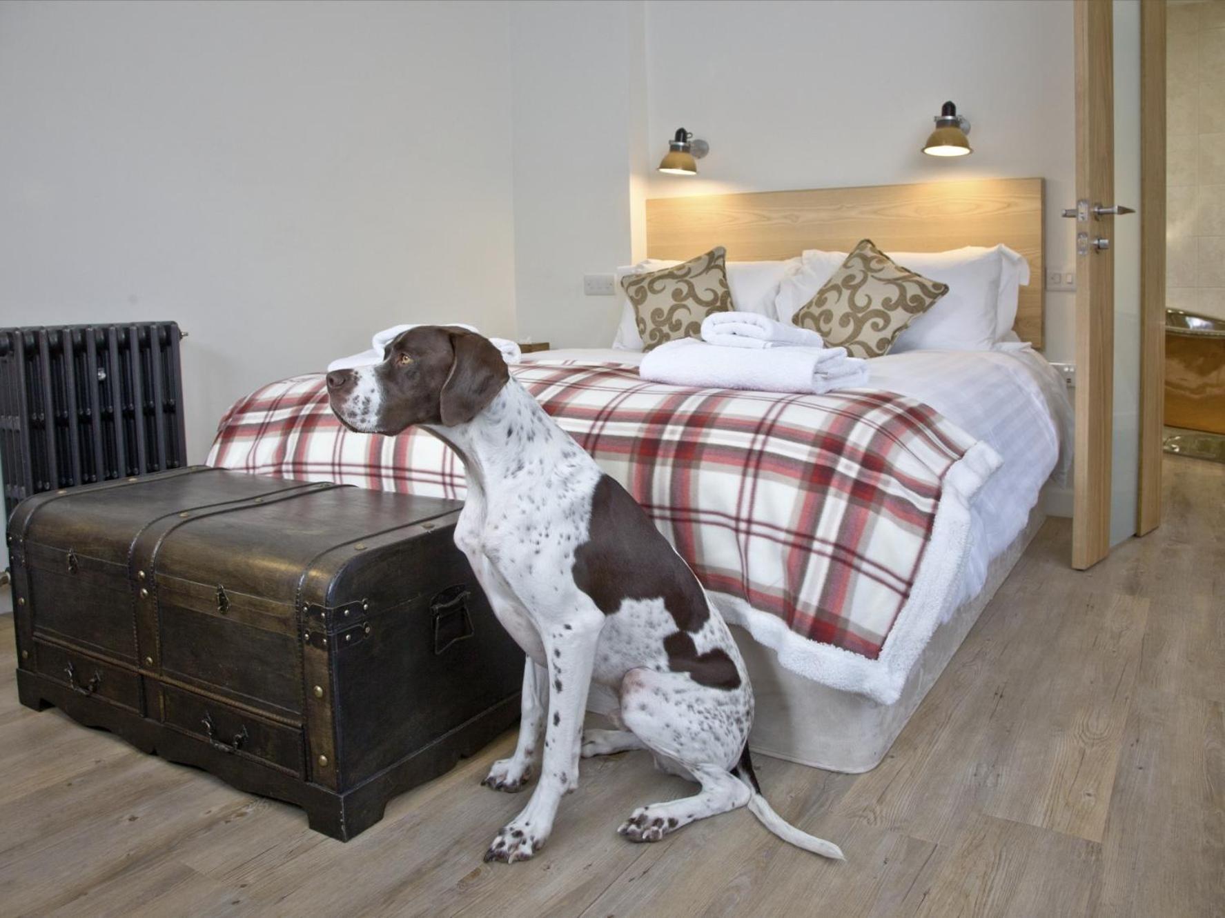 The Fortescue Inn Salcombe Kamer foto